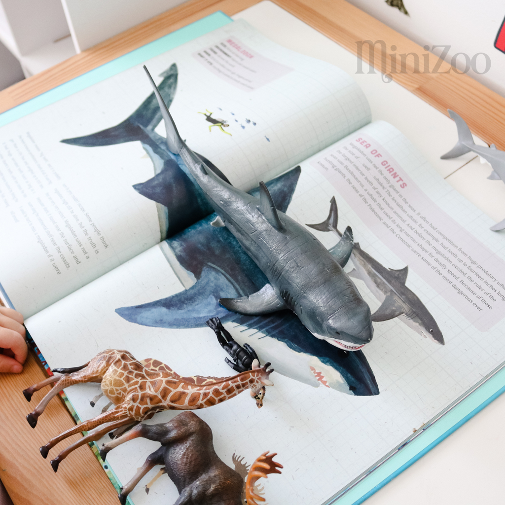 Sharks: A Mighty, Bite-y History book Megalodon MiniZoo
