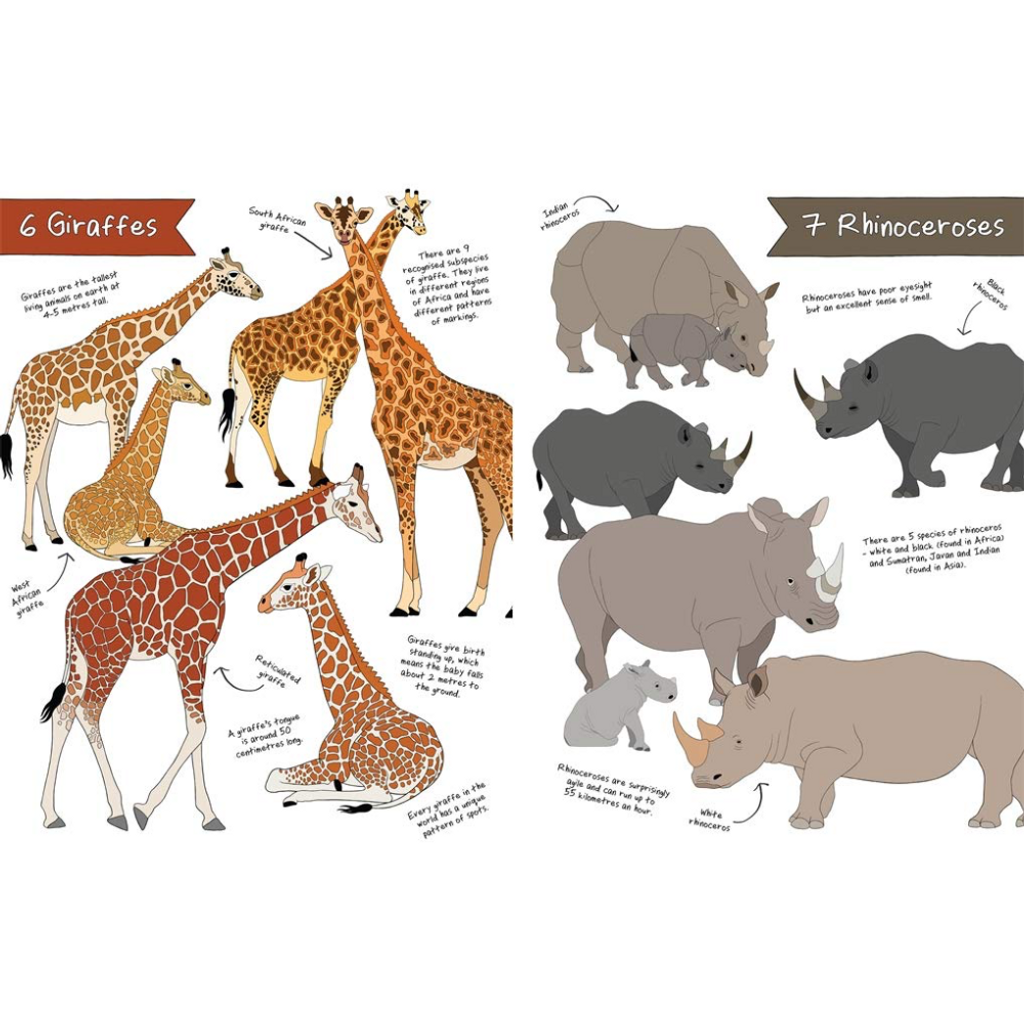 Ultimate Animal Counting Book inside