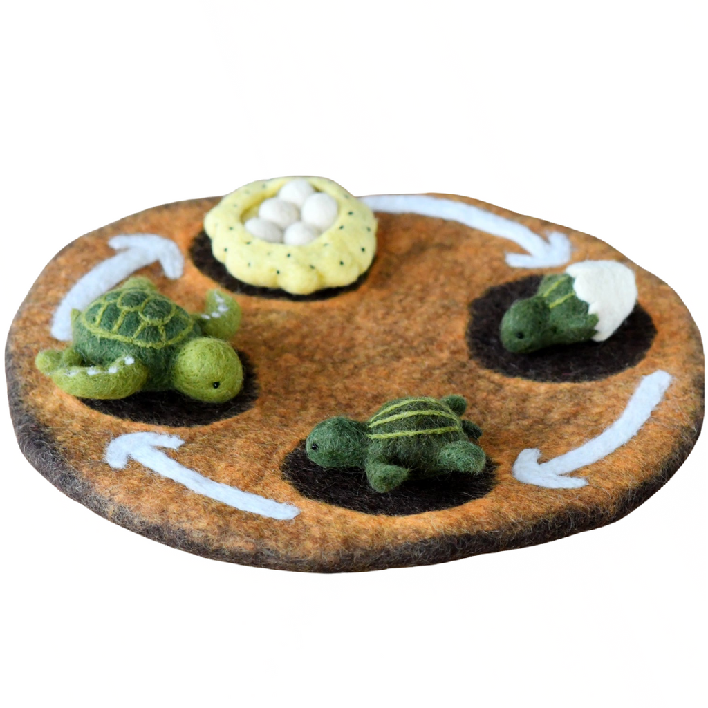 Felt Life Cycle Tray Playmat with turtle life cycle