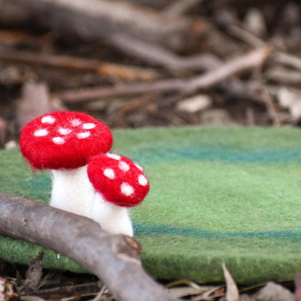 Toadstool Mushroom Play Mat on forest floor