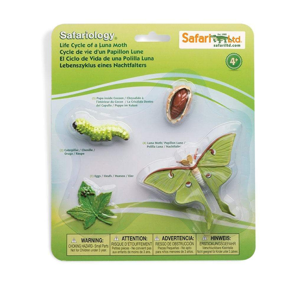 Safari Ltd Life Cycle of a Luna Moth in pack