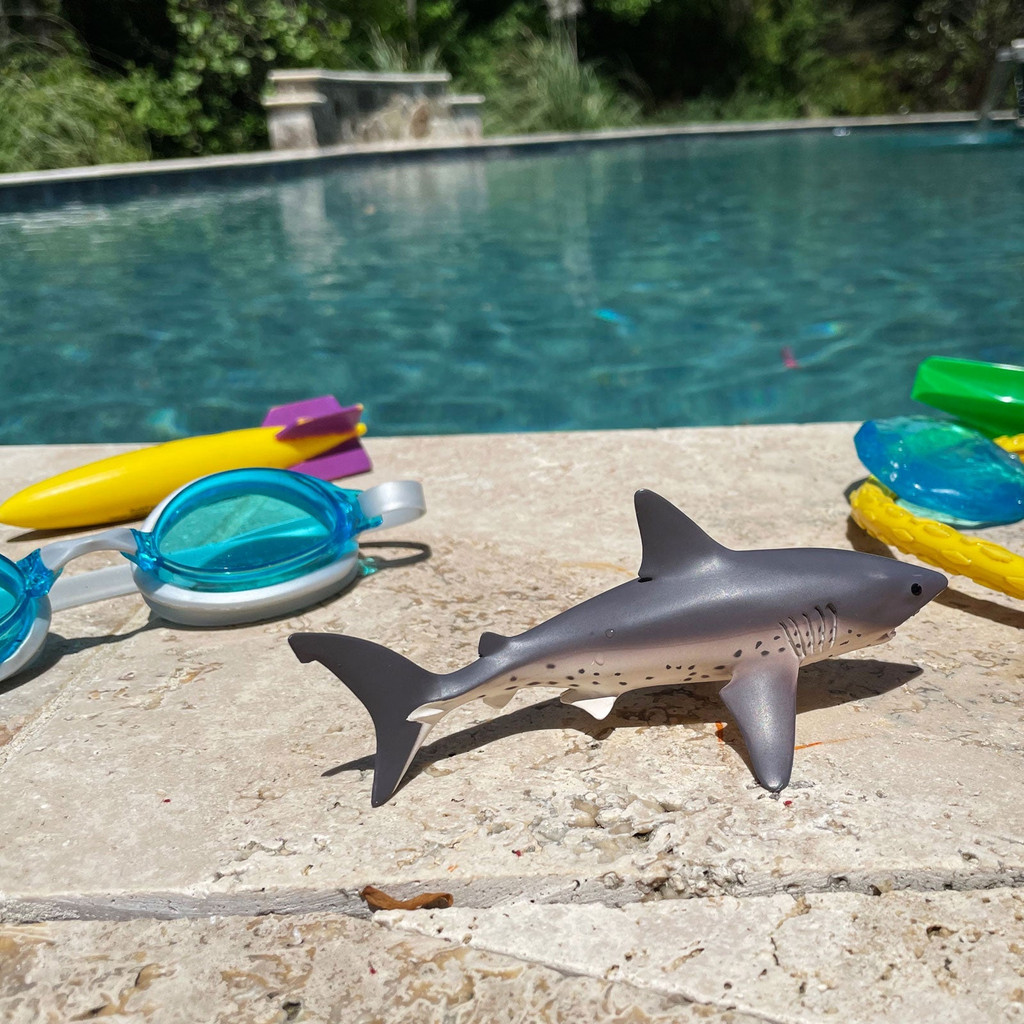 Safari Ltd Salmon Shark by the pool