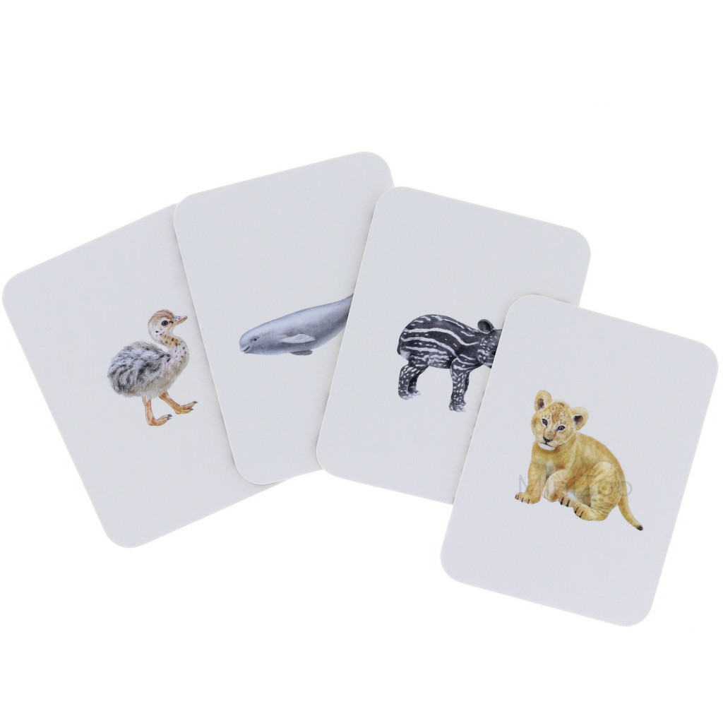 Animal Family Match: A Matching Game baby animal cards MiniZoo