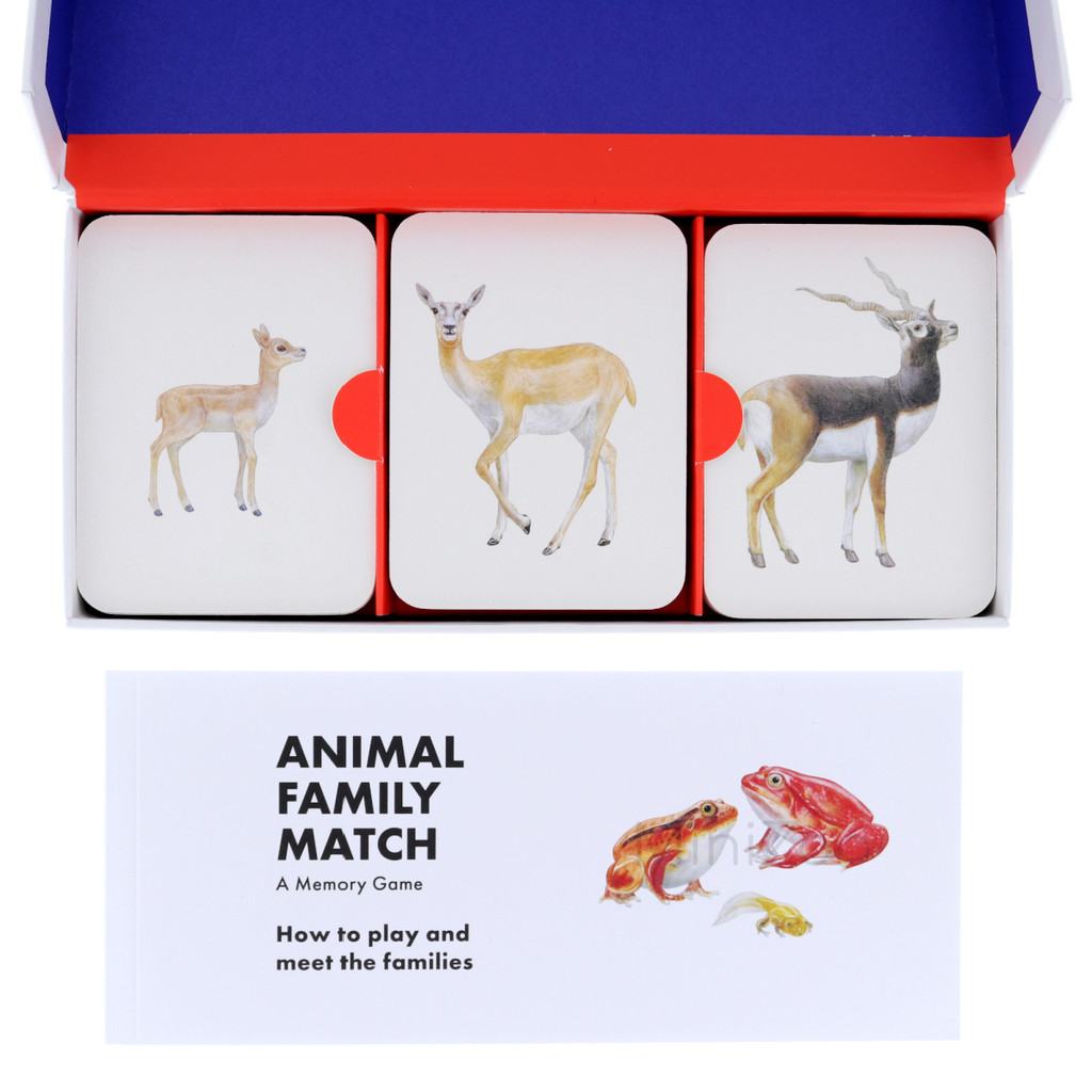 Animal Family Match: A Matching Game inside box MiniZoo
