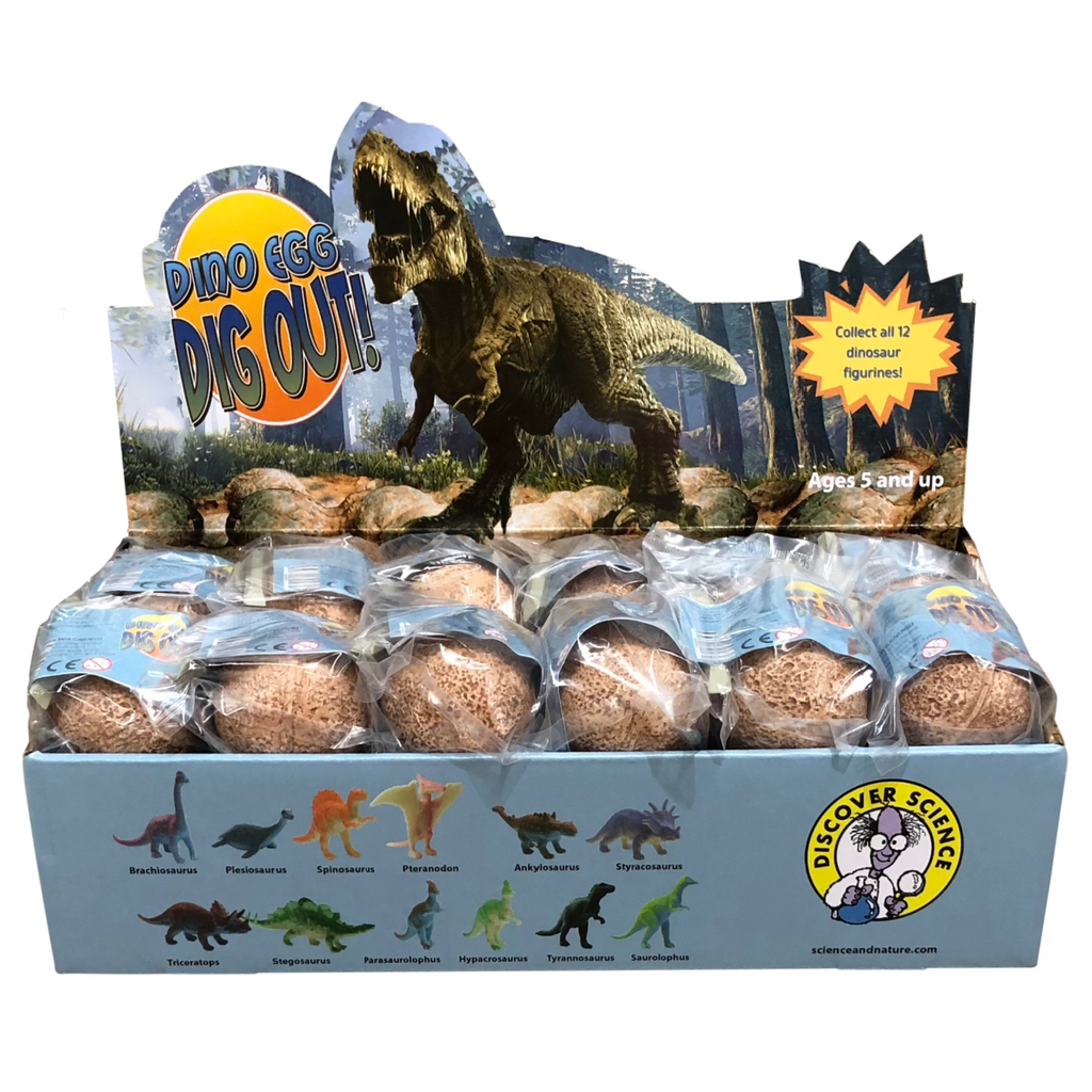 Dino Egg Dig Out box