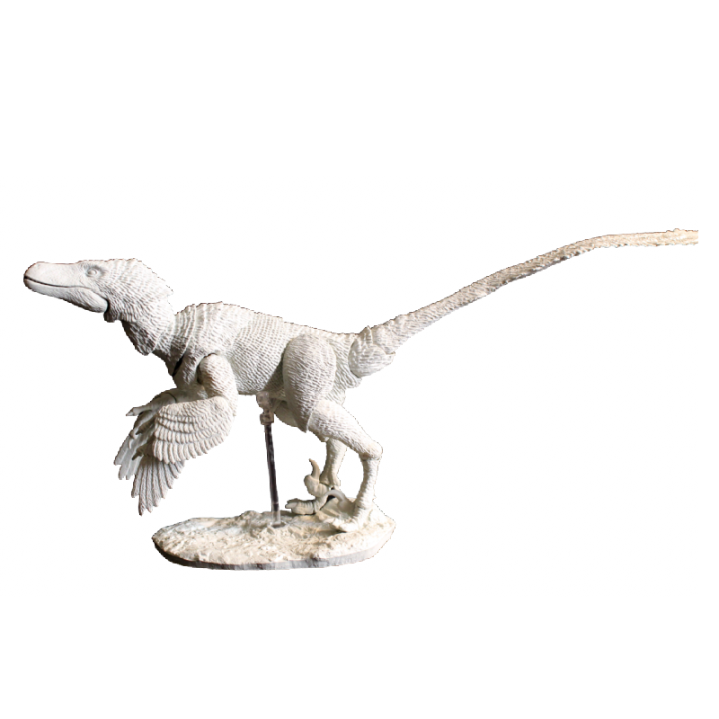 Creative Beast Studio Build-a-Raptor Set A: Velociraptor 1:6 Scale ...