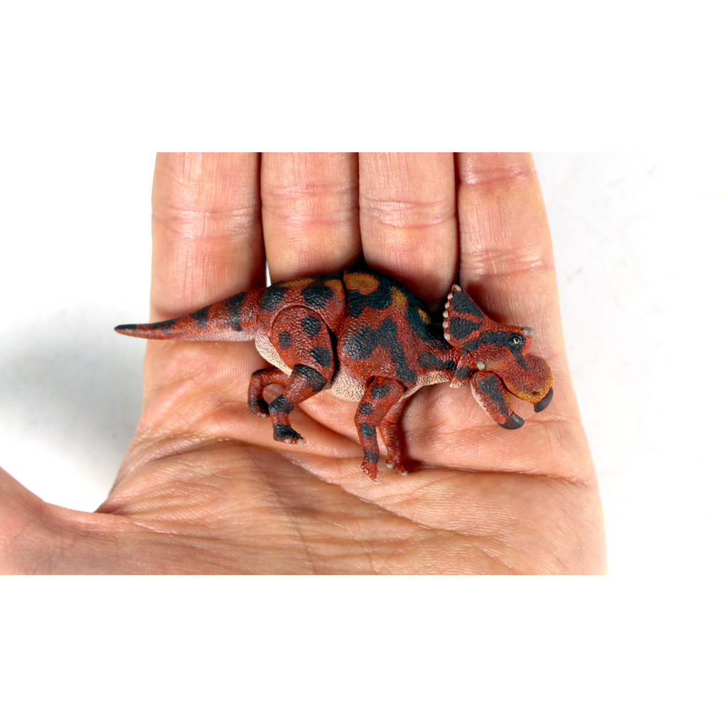 Creative Beast Studio Baby Diabloceratops size in hand
