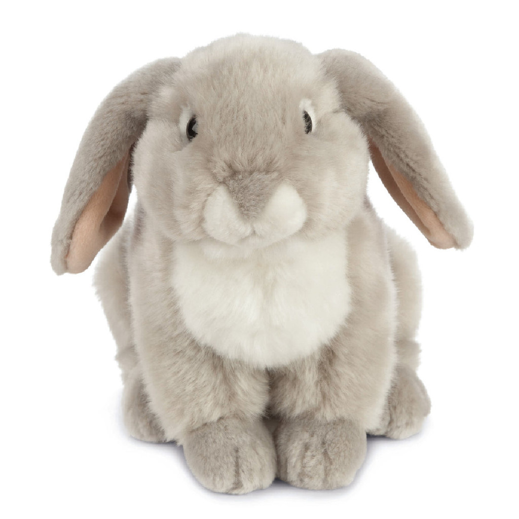 Living Nature Grey French Lop Eared Rabbit