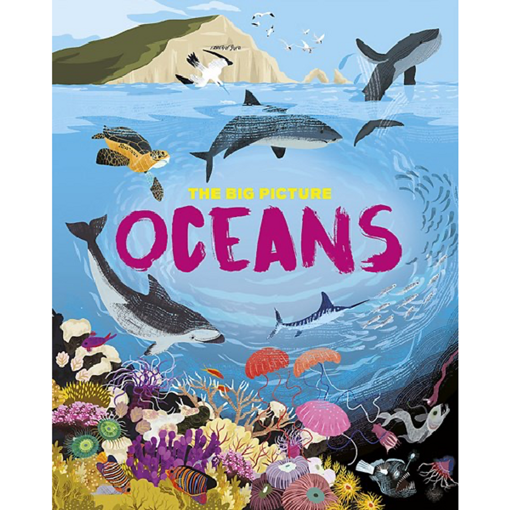 The Big Picture: Oceans book