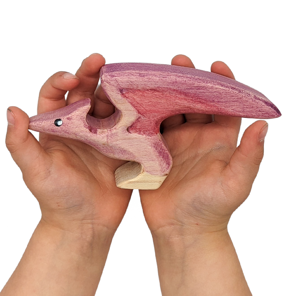 NOM Handcrafted wooden Pteranodon toy in hands