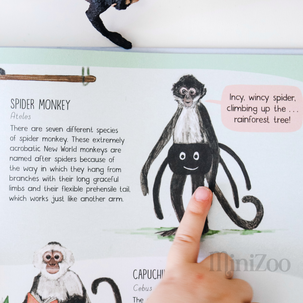 Book of Monkeys spider monkey MiniZoo