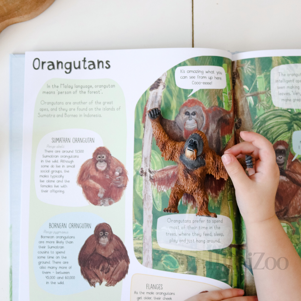 Book of Monkeys orangutan MiniZoo