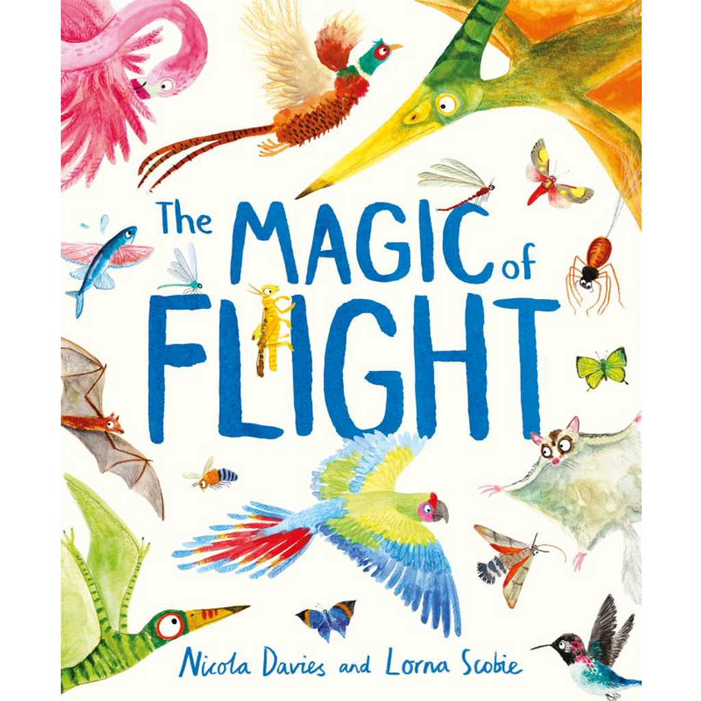 The Magic of Flight book