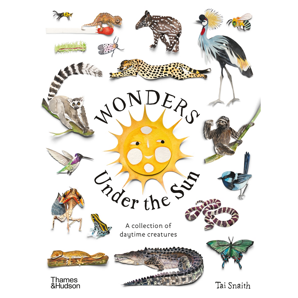 Wonders Under the Sun book