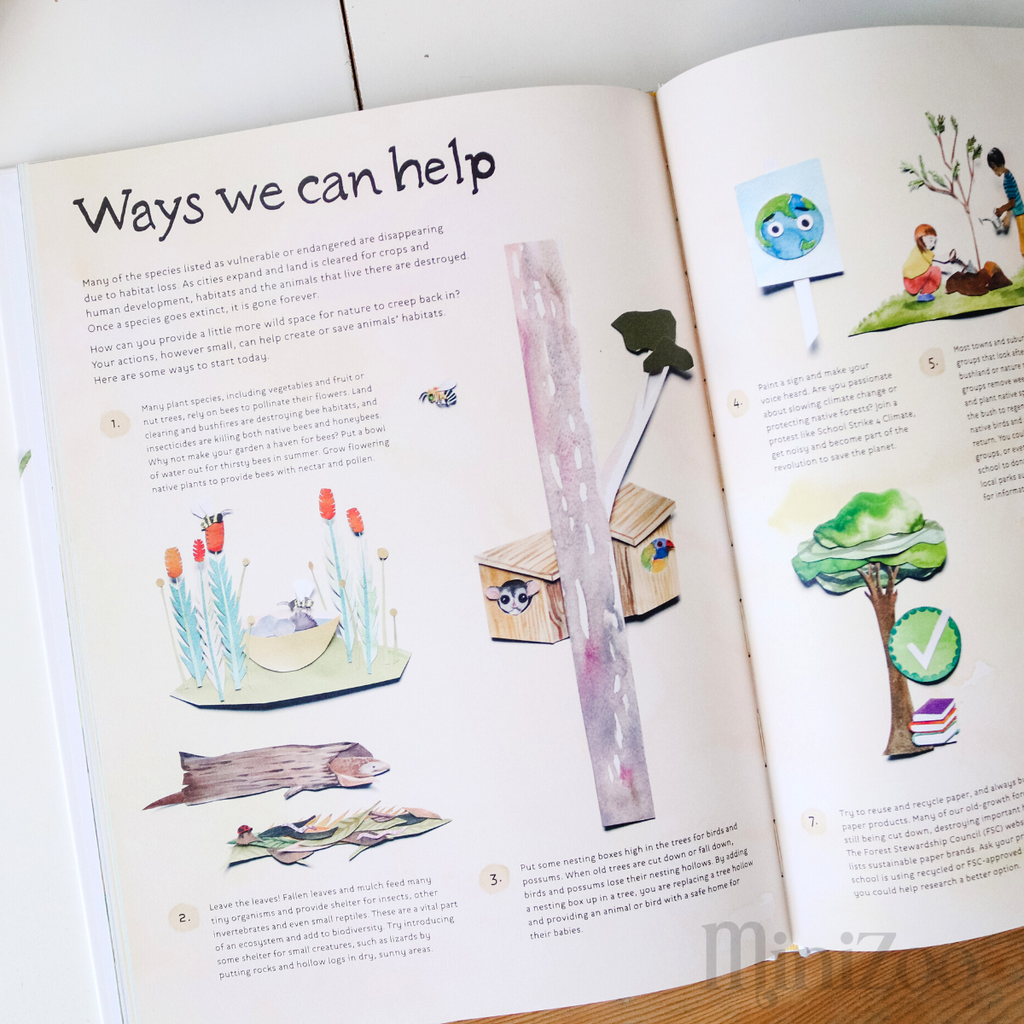 Wonders Under the Sun book MiniZoo