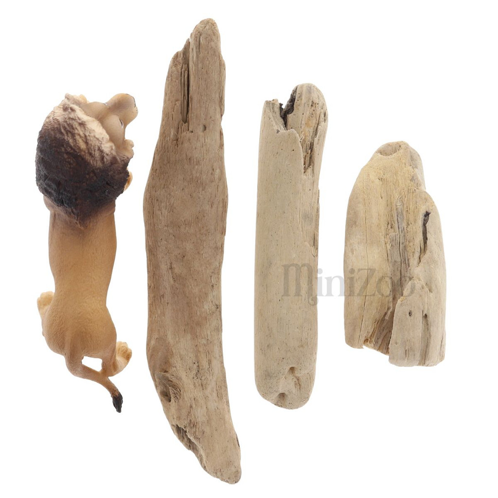 Small Driftwood 3pc with MiniZoo lion