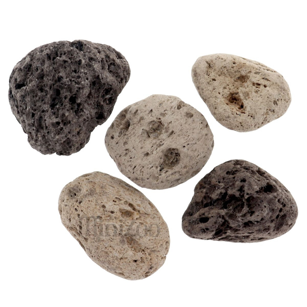 Pumice Stone 5pc MiniZoo