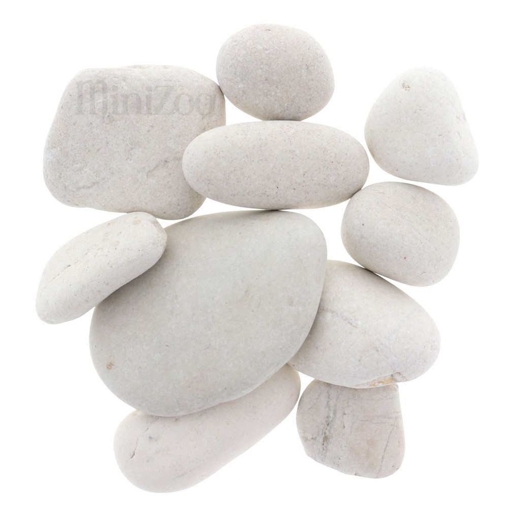 Pebbles White Small 10pc MiniZoo