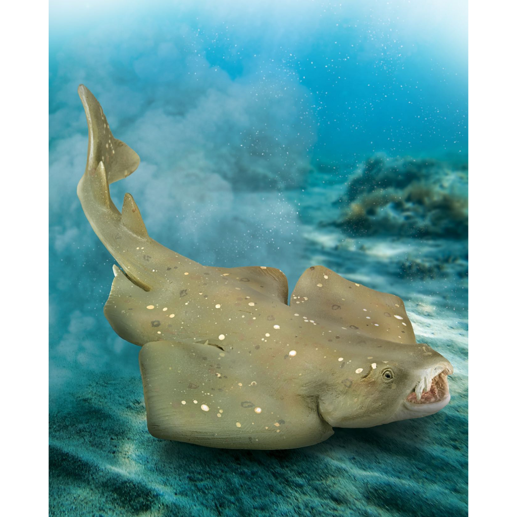 CollectA Angel Shark