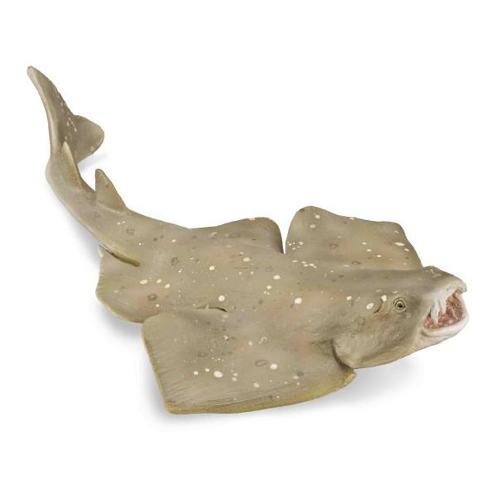 CollectA Angel Shark