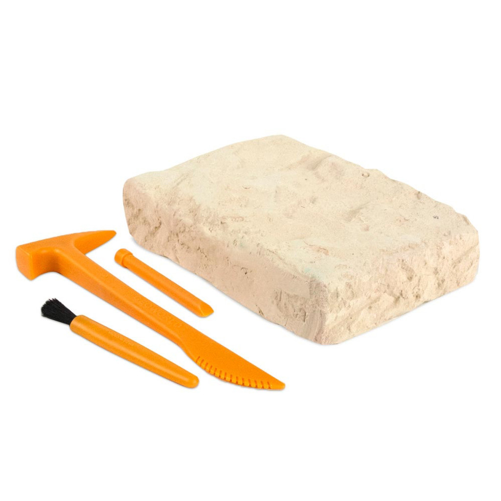 Dr Steve Hunters Triceratops Excavation Kit