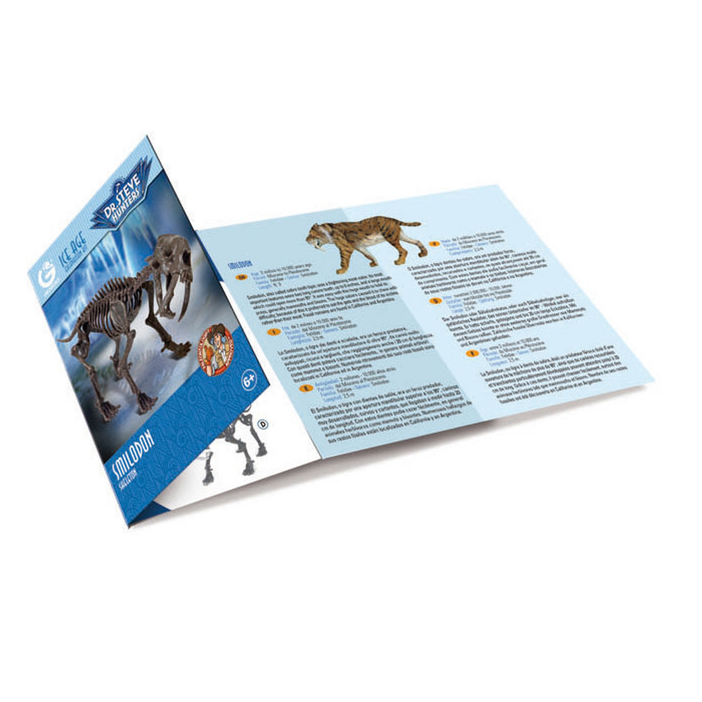 Dr Steve Hunters Smilodon Excavation Kit