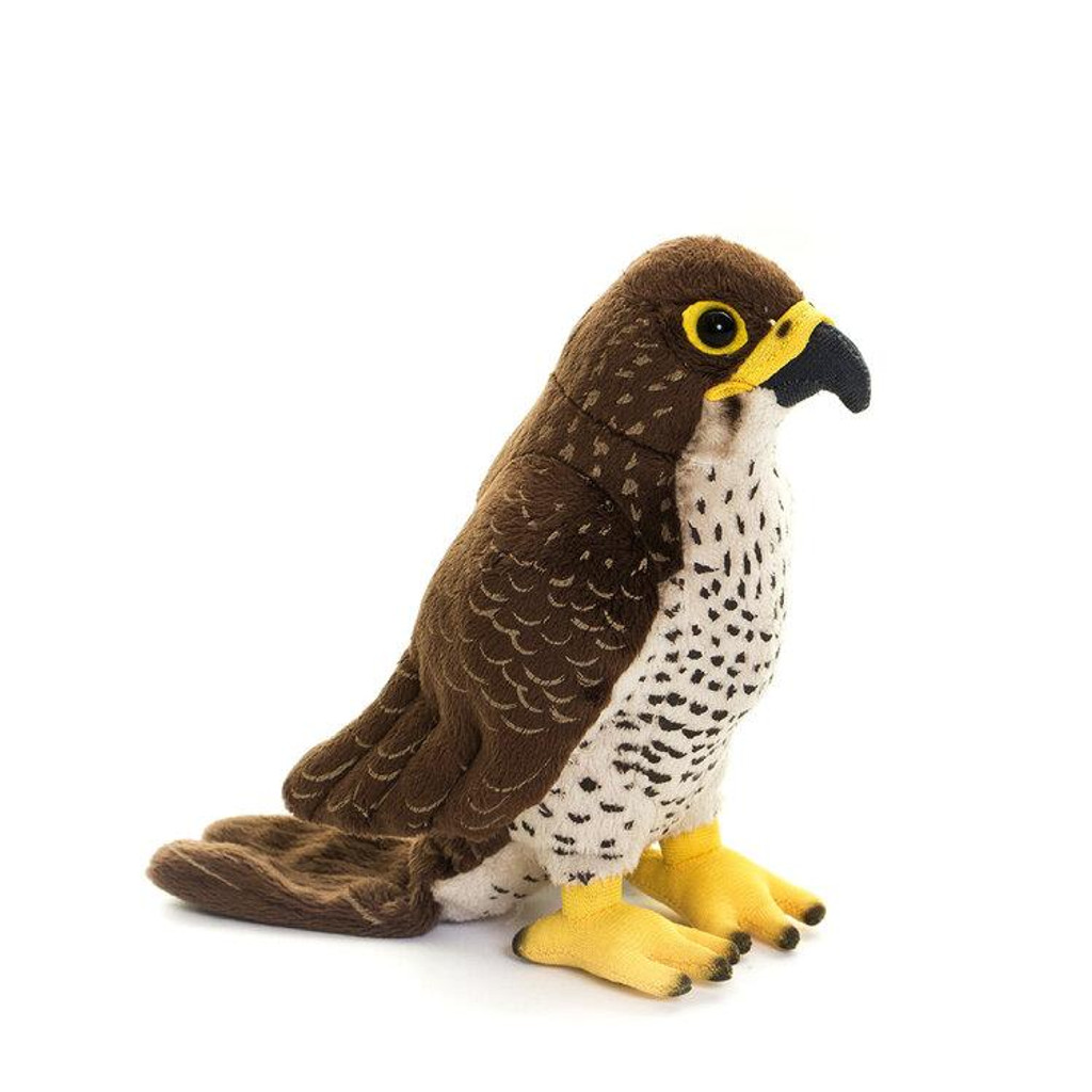 Living Nature Peregrine Falcon