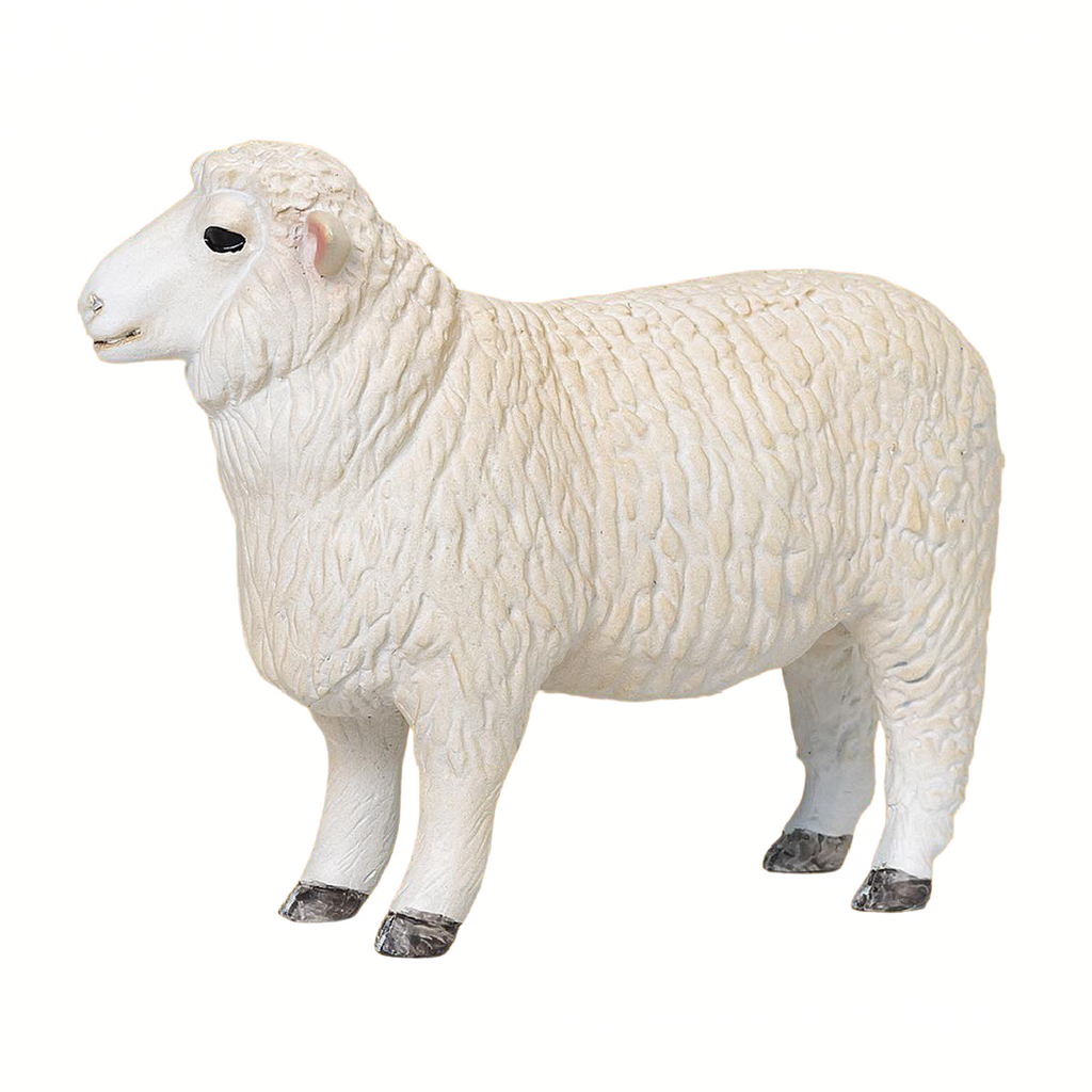 Mojo Romney Sheep Ram