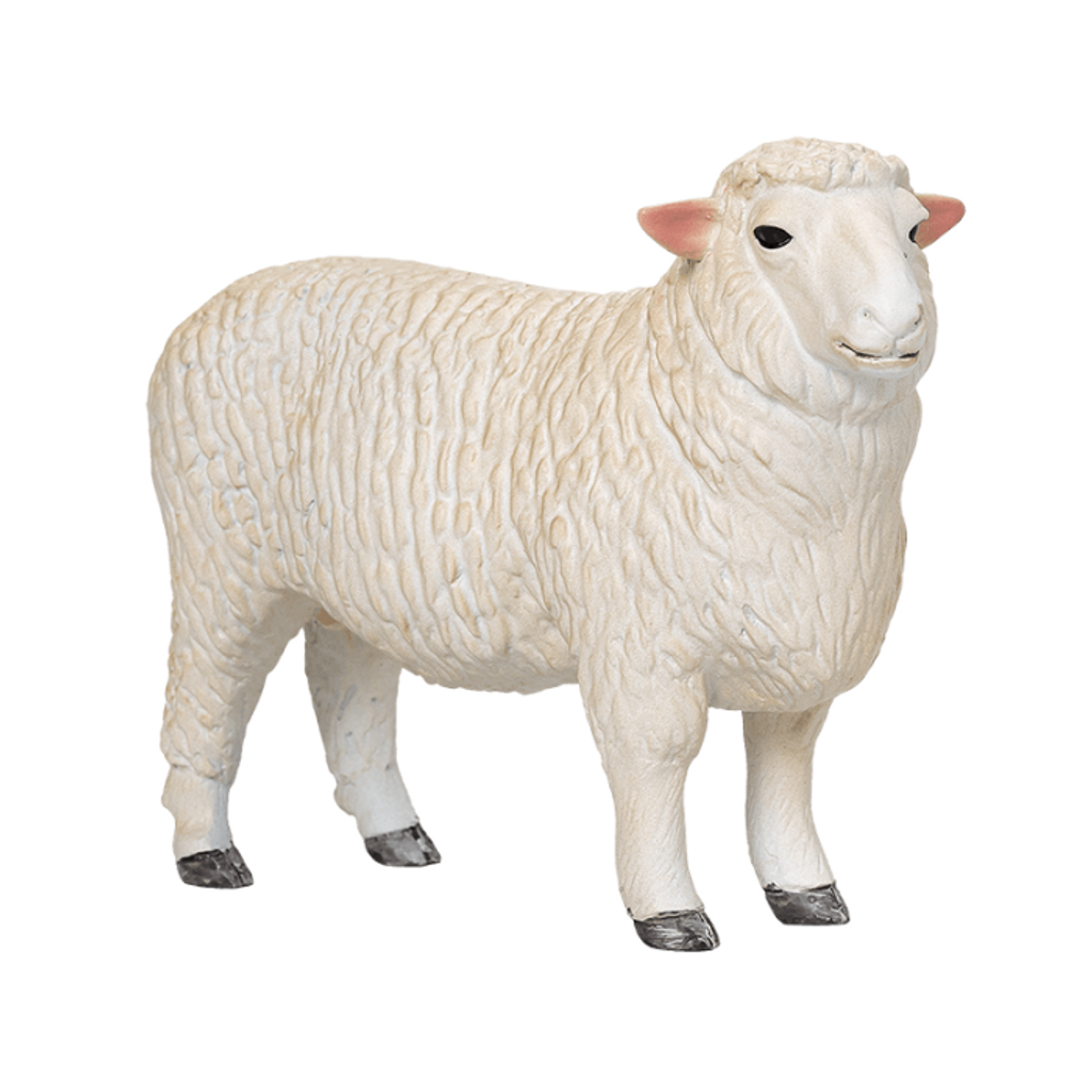 Mojo Romney Sheep Ewe