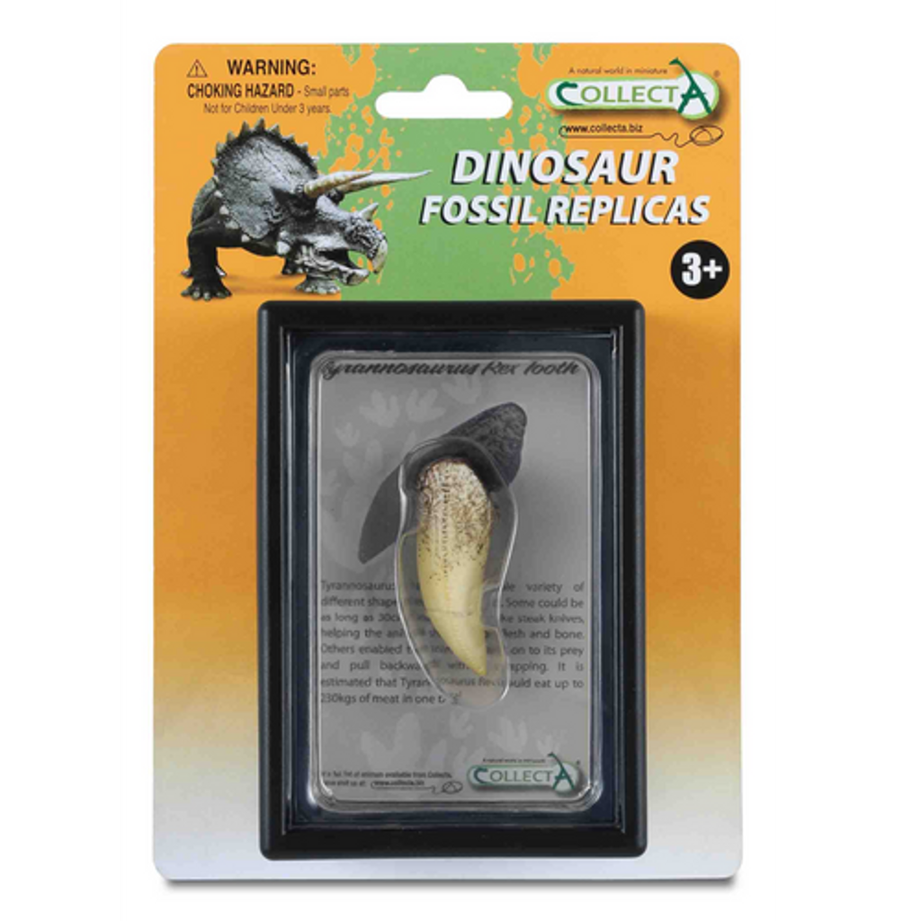 CollectA T-Rex Tooth