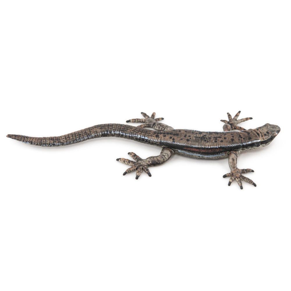 Papo Common Lizard realistic figurine