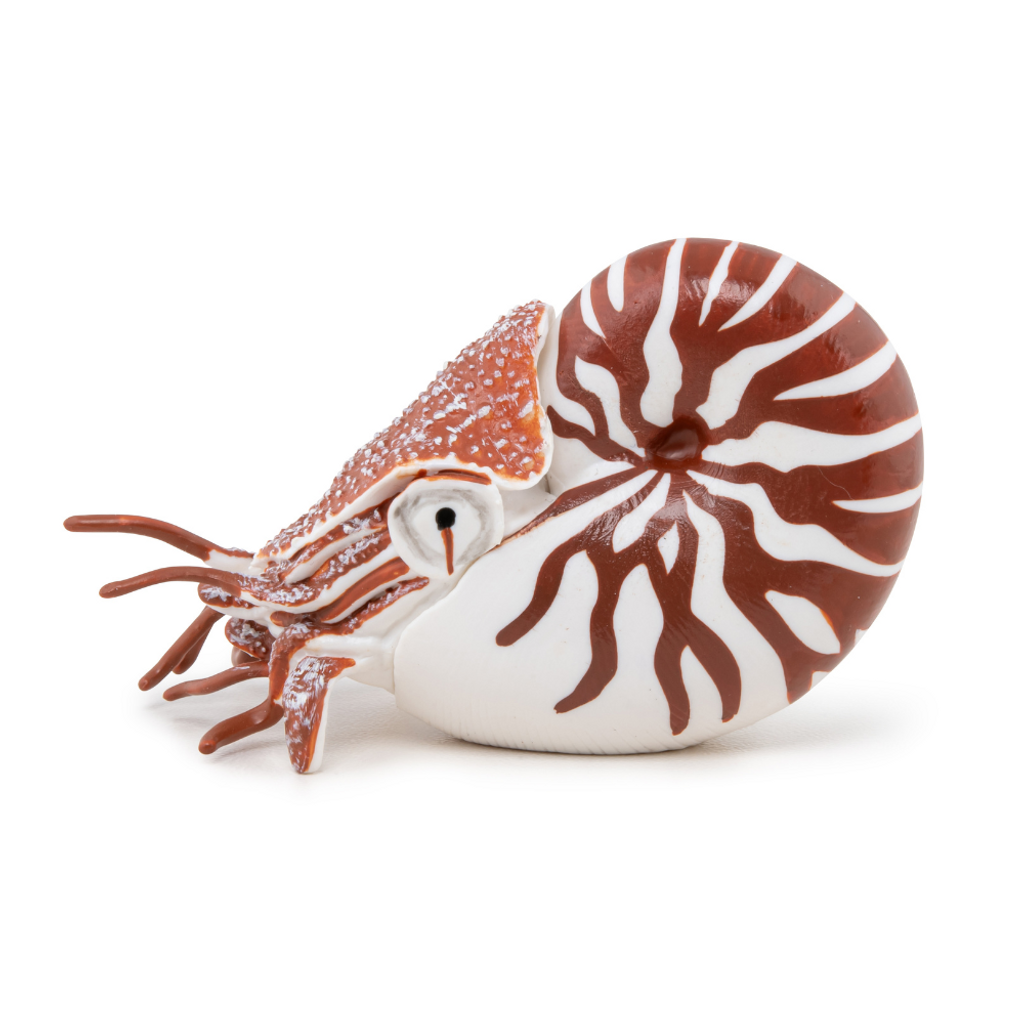Papo Nautilus side view