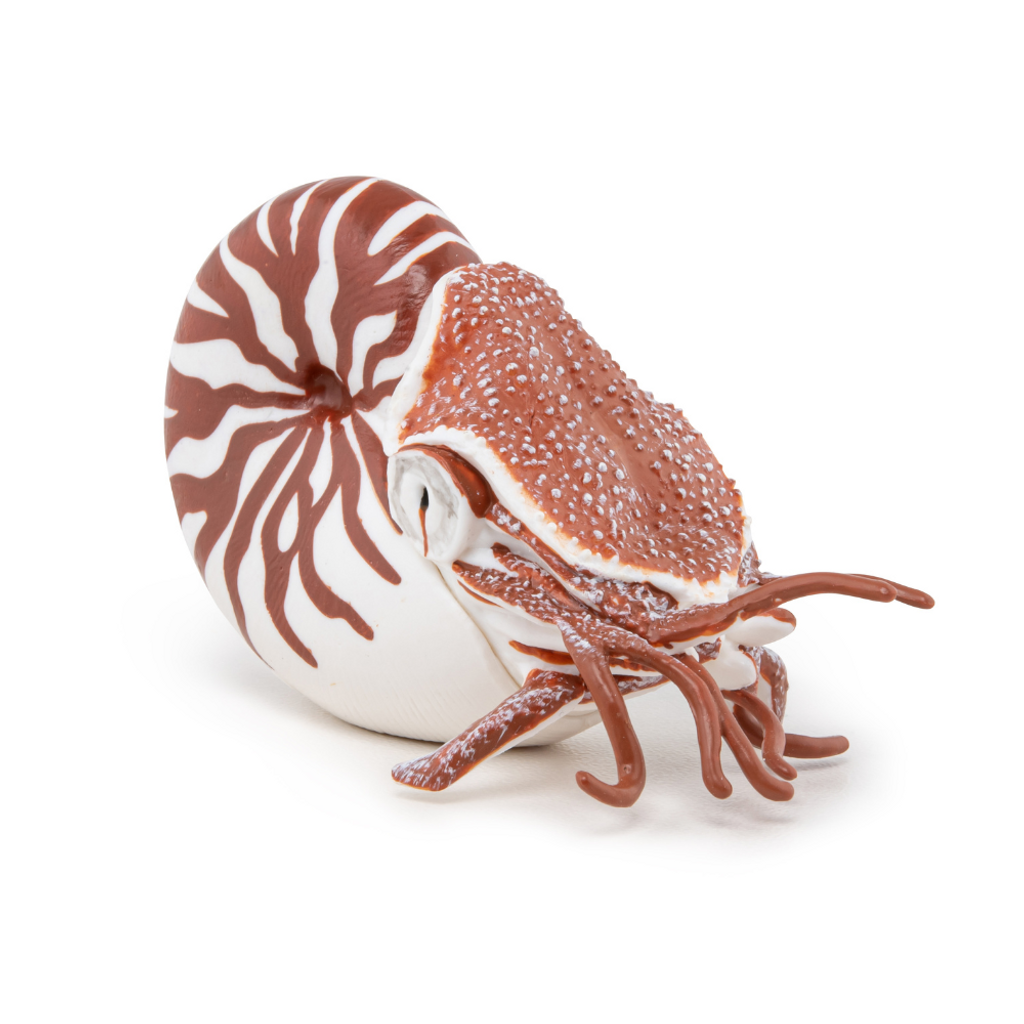 Papo Nautilus toy