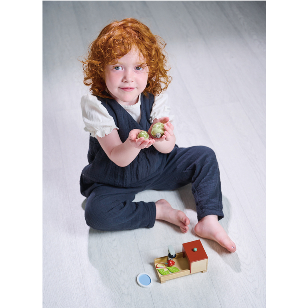 Tender Leaf Toys Tortoise Pet Set