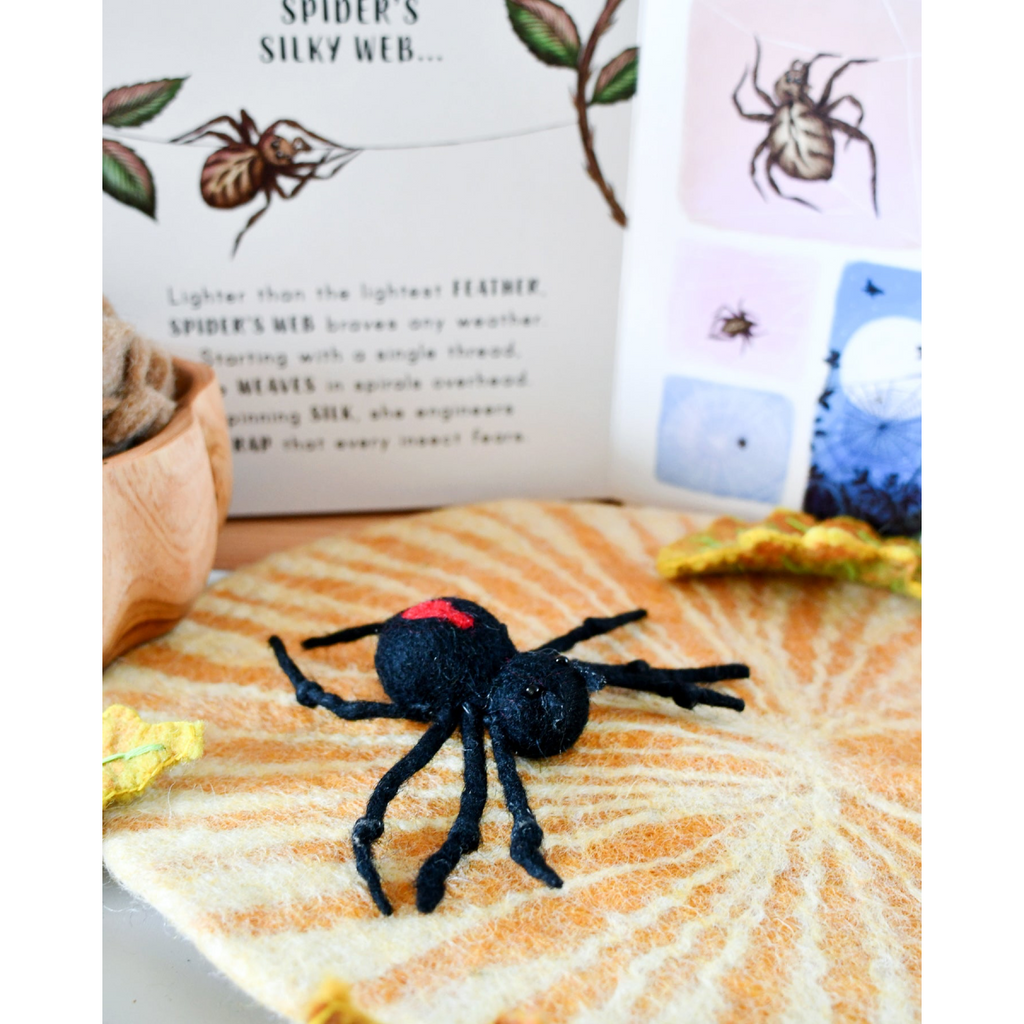 Tara Treasures Felt Lifecycle of Redback Spider 