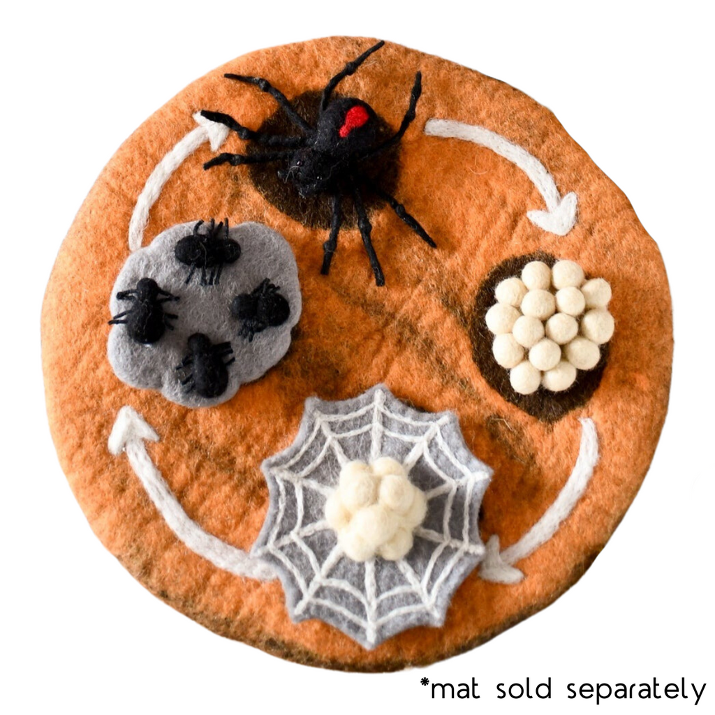 Tara Treasures Felt Lifecycle of Redback Spider on lifecycle mat (sold separately)