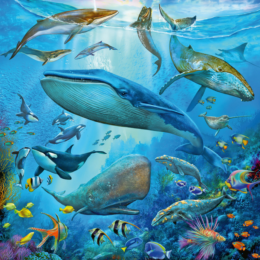 Ravensburger Ocean Life Puzzle 3 x 49pc