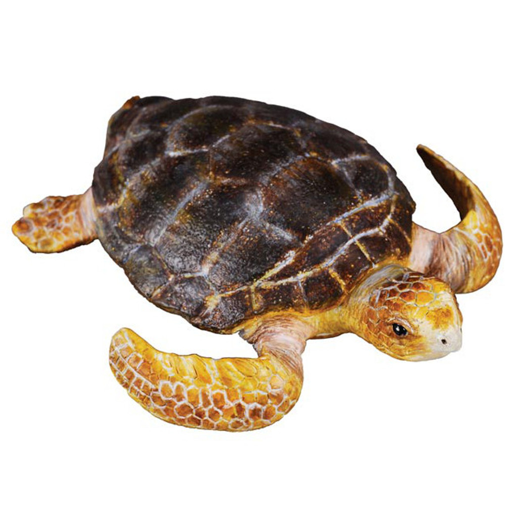 CollectA Loggerhead Turtle