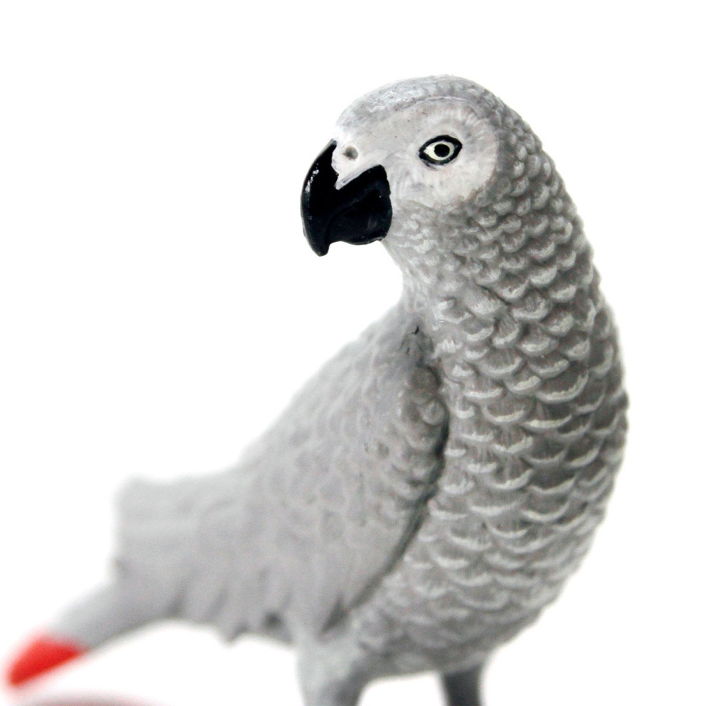 Safari Ltd African Grey Parrot