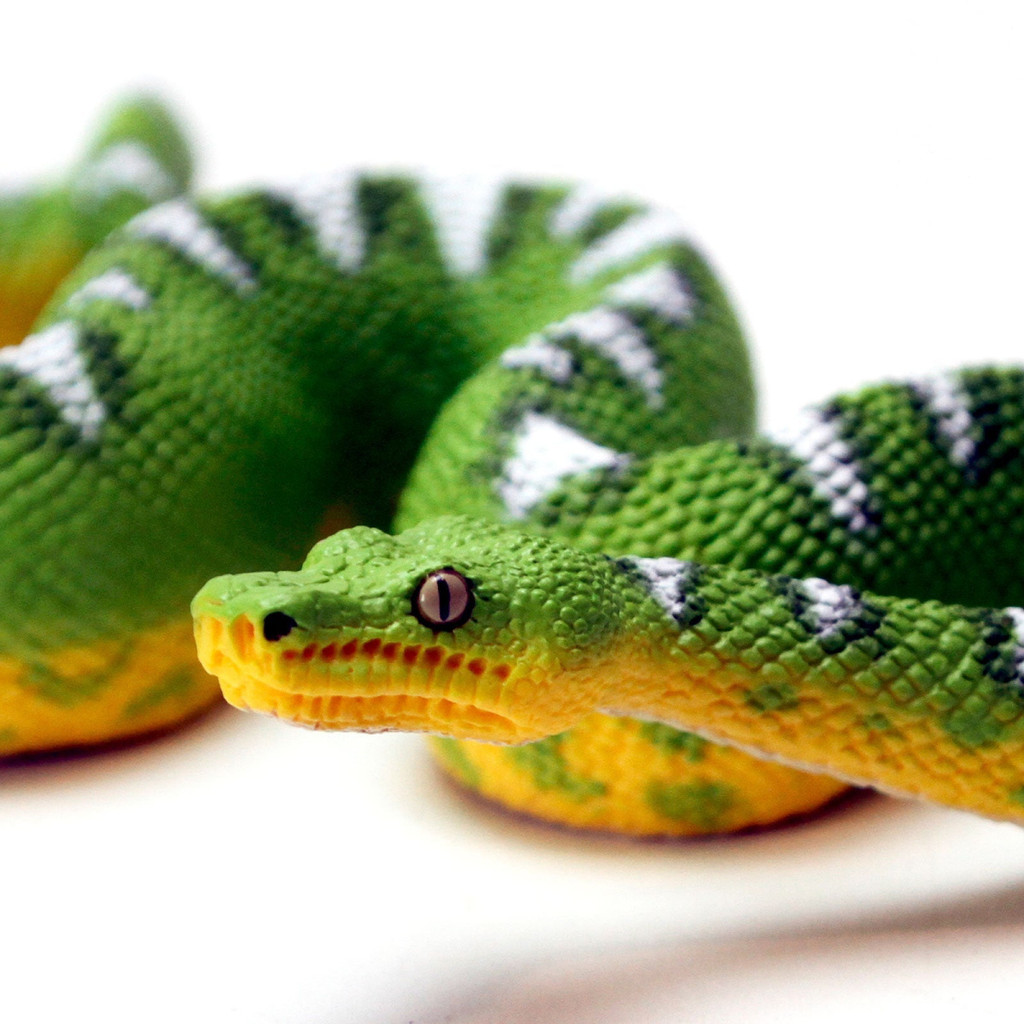 Safari Ltd Emerald Tree Boa IC