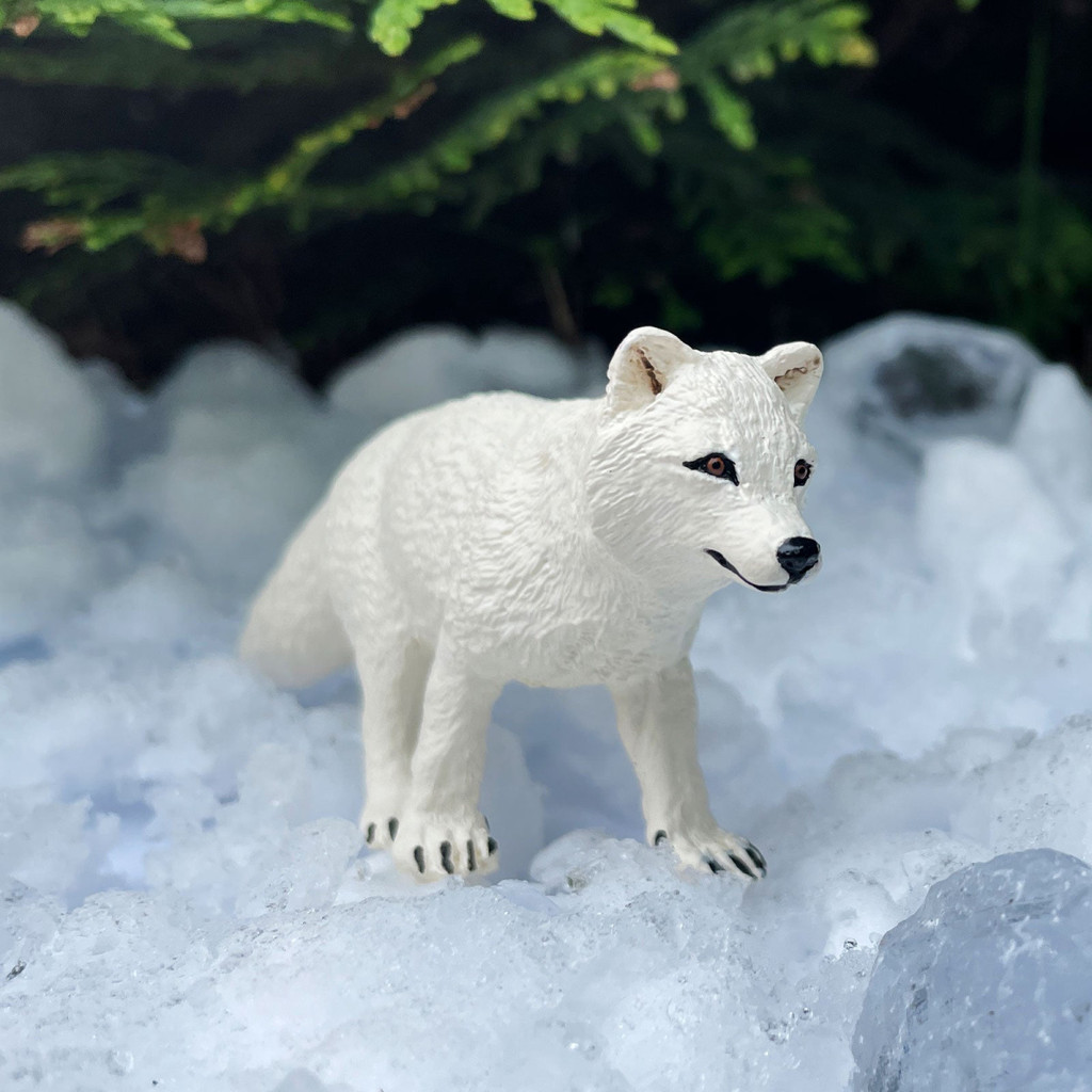 Safari Ltd Arctic Fox 2023