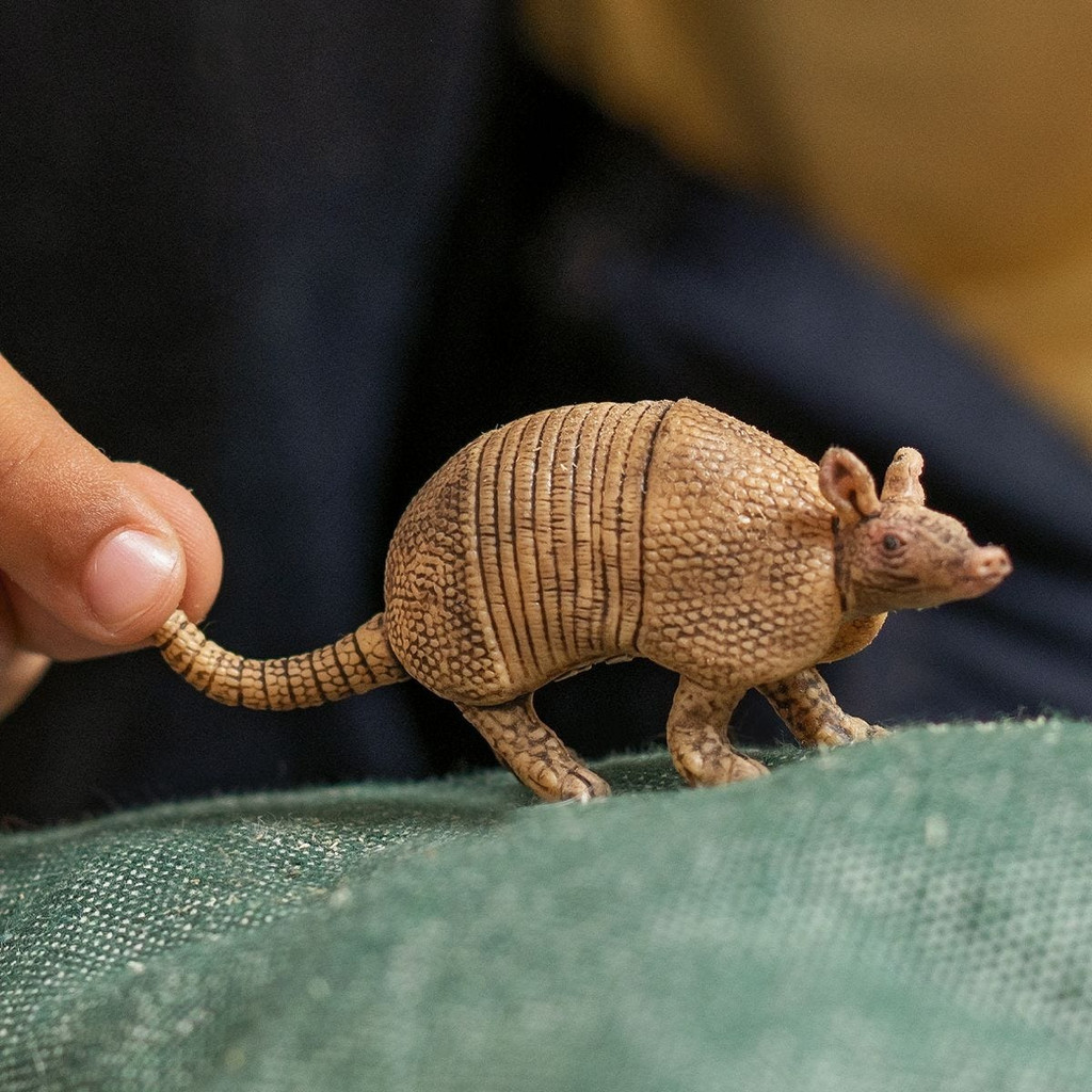 Schleich realistic Armadillo toy figurine in play