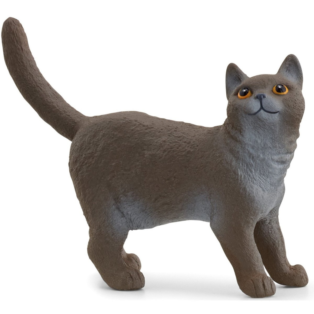 Schleich British Shorthair Cat toy figurine 13973 Schleich 2024
