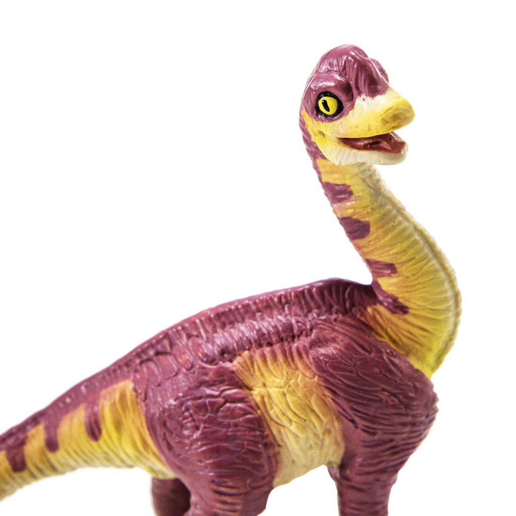 Safari Ltd Brachiosaurus Baby