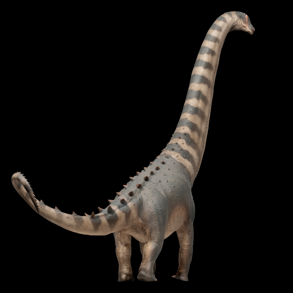 PNSO Samuel the Alamosaurus