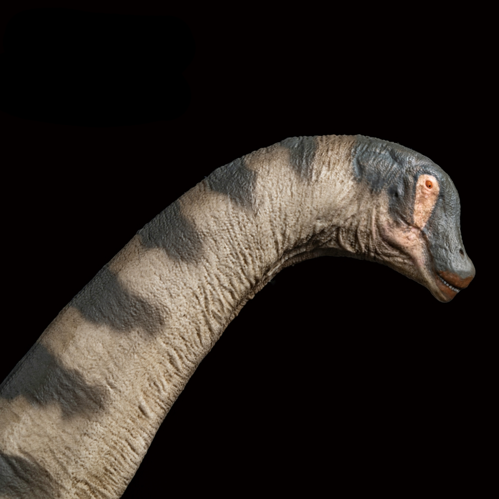 PNSO Samuel the Alamosaurus