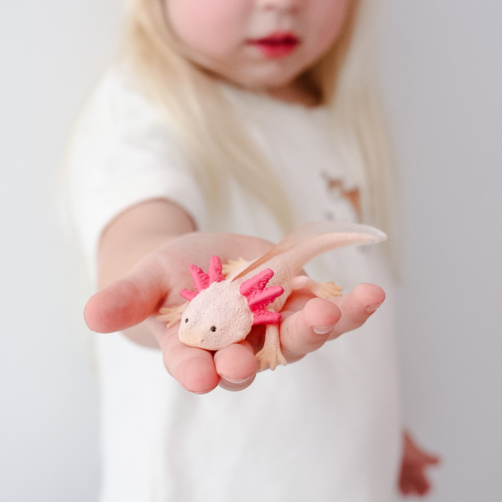CollectA Axolotl in hand MiniZoo