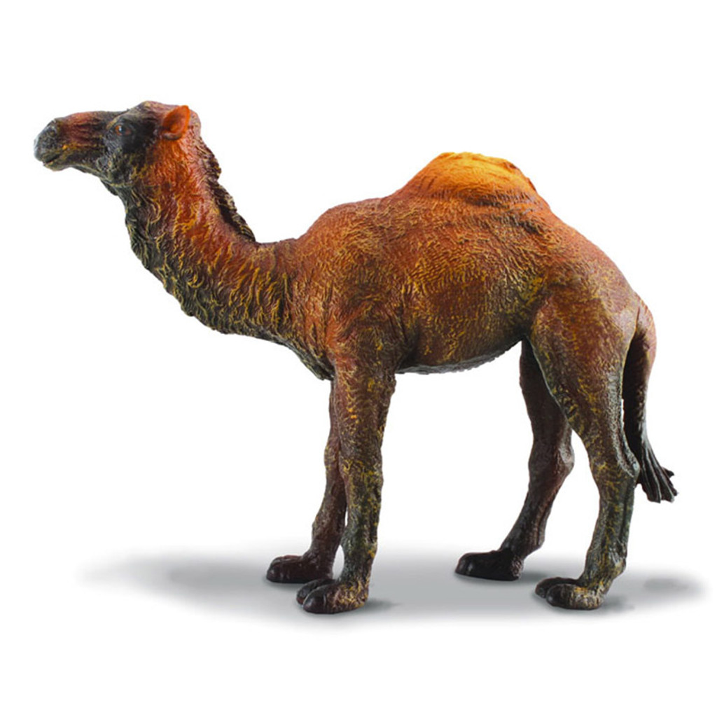 CollectA Dromedary Camel