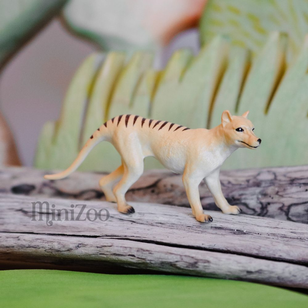 Science and Nature Small Thylacine