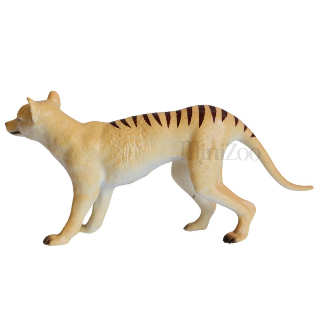 Science and Nature Small Thylacine